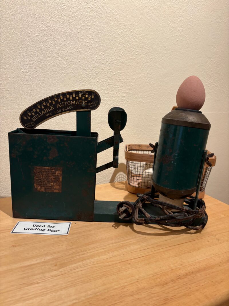 IMG 2109