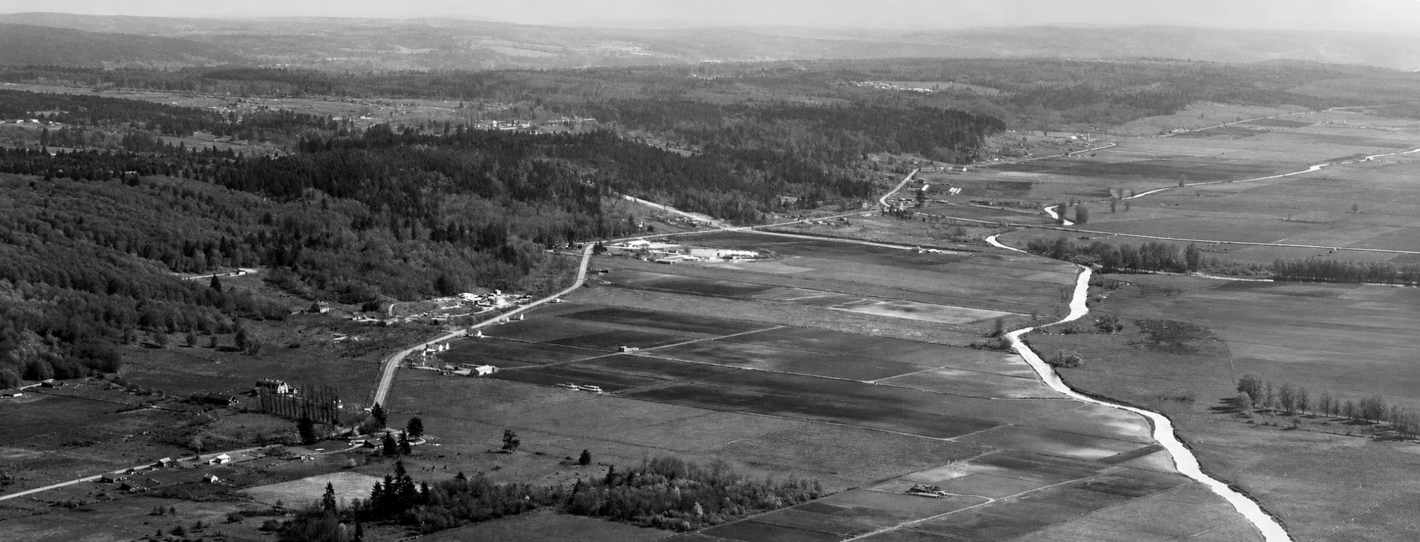 Sammamish Valley Aerial